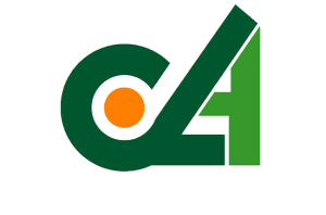 Logopeda colegiada en Almería – Colegio Oficial de Logopedas de Andalucía